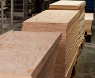 Birch Plywood