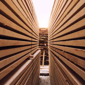 Fire Retardant Plywood